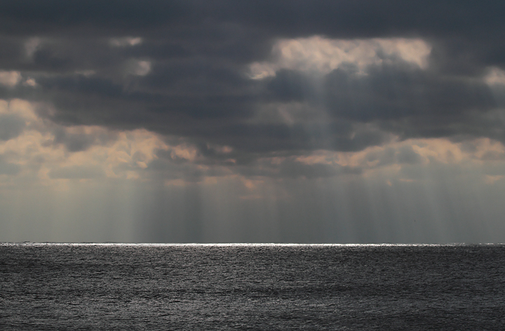 A dramatic view from Assateague Island, Maryland (12/5/2010). Photo by Bill Hubick.