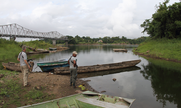 Looking for Pied Water-Tyrant at Ballano Lake, Panama (7/10/2010). Photo by Bill Hubick.