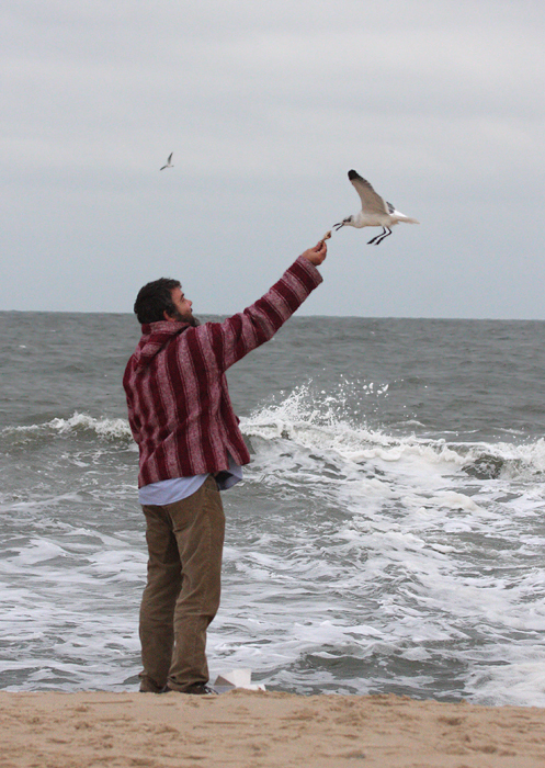 Jim Brighton bonding with the Laughing Gulls of the Ocean City Inlet, Maryland (11/1/2009).
