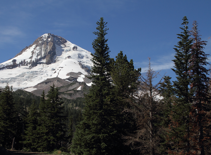 Mount Hood as viewed from near Cloud Cap (9/2/2010). Photo by Bill Hubick.