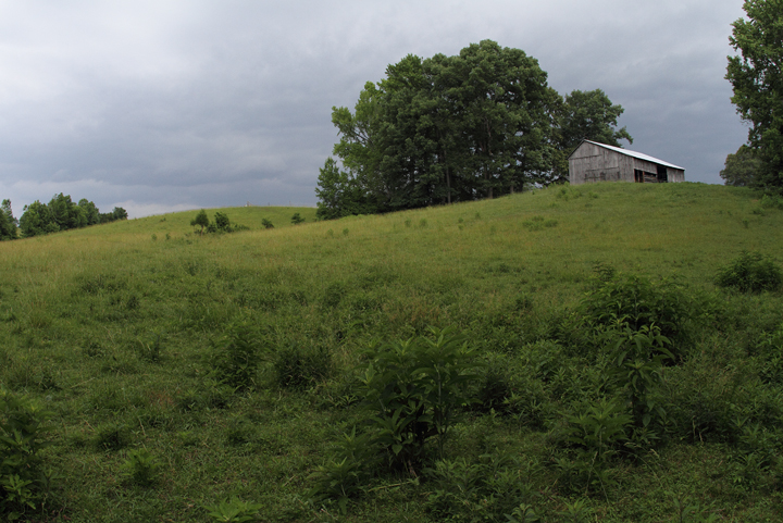 A storm approaches the Nanjemoy area of Charles Co., Maryland Photo by Bill Hubick.