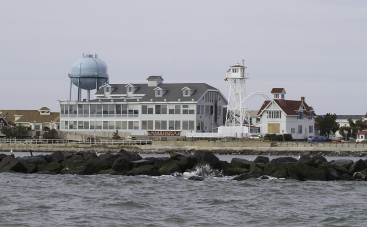 Ocean City as seen from the eiders hiding south of the south jetty. When the Morning Star took us to the south side of the jetty to have a look, we found... [drumroll]... some scoters. Photo by Bill Hubick.