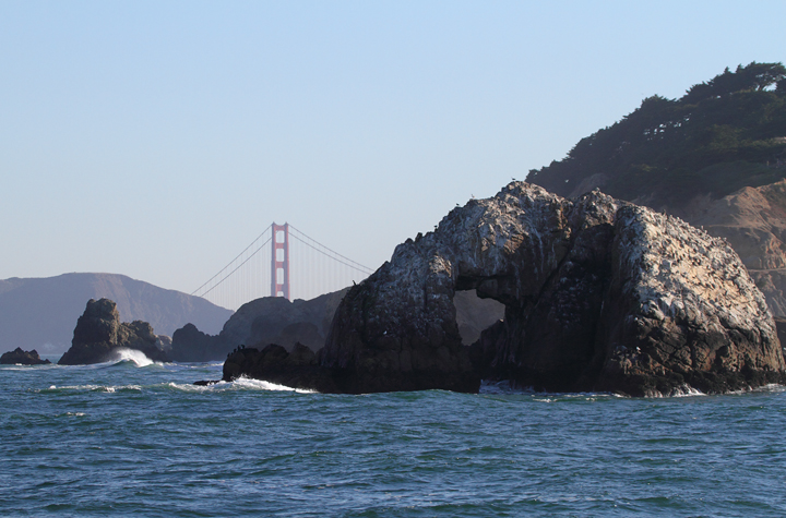 Seal Rock and the Golden Gate Bridge Photo by Bill Hubick.