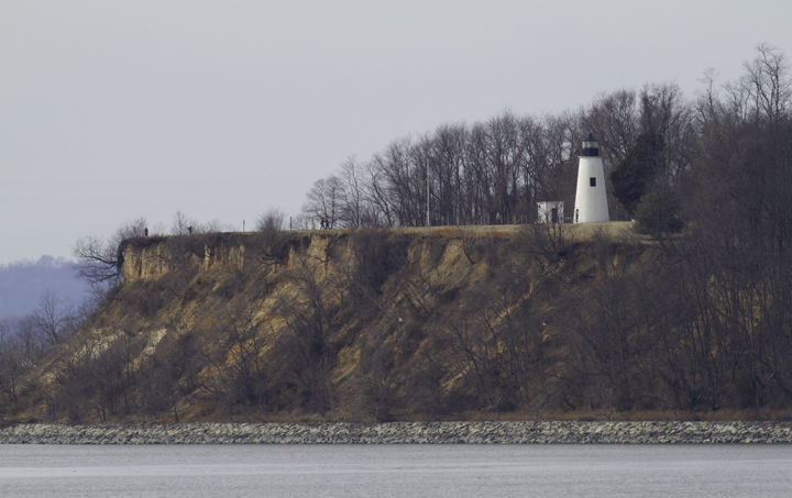 A view of Turkey Point from an uncommon vantage point - Crystal Beach, Maryland (2/20/2011). Photo by Bill Hubick.